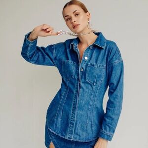 Torn by Ronny Kobo Erika Denim Top